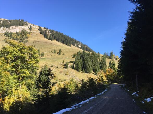 Wanderweg zur Ackernalm