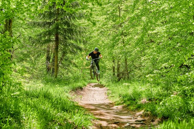 Flowtrail Kreuzberg