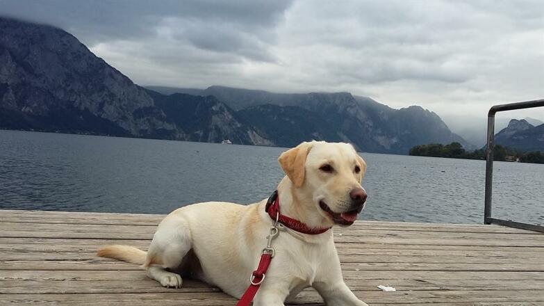 Steg am Traunsee