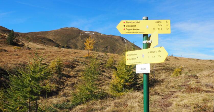 Weggabelung 1909m rechts am WEG 57 zum Filzmoossattel