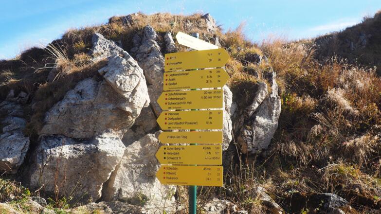 Scharte um 2185m mit"Tafelwald" zur Aualm WEG 34