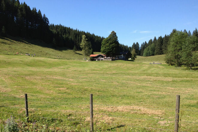 Wirtsalm - © Chiemsee-Alpenland Tourismus