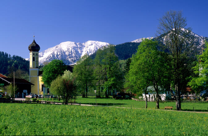 Klosterkirche St. Martin "Martinsmünster"