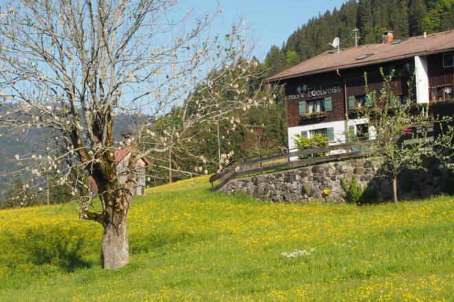 Haus Edelweiss in Zehrerhöfe