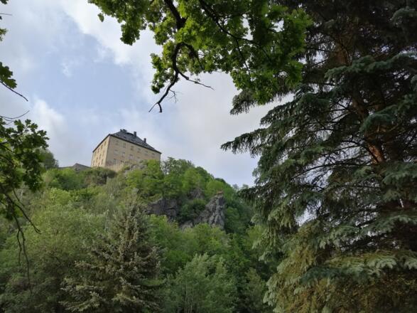 Blick zum Schloss Hirschberg und das Hirschdenkmal