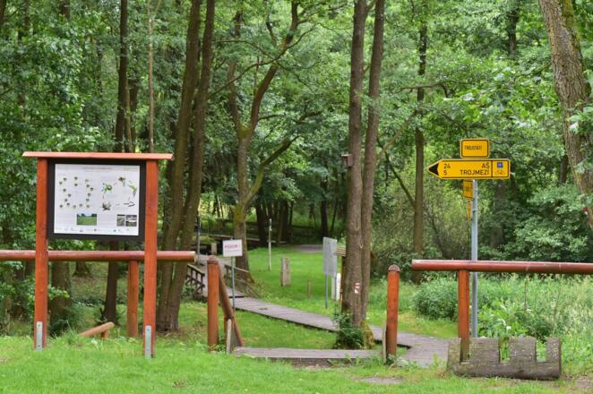 Dreiländereck bei Eichigt und Prex