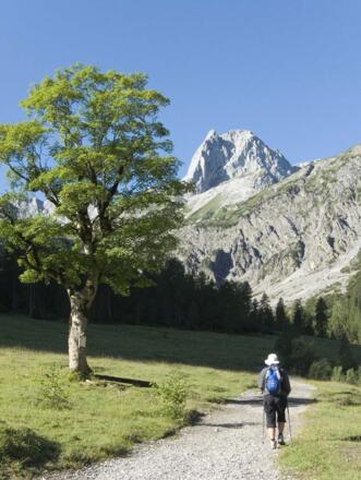 Schon von der Gramaialm sieht man die markante Lamsenspitze aufragen.