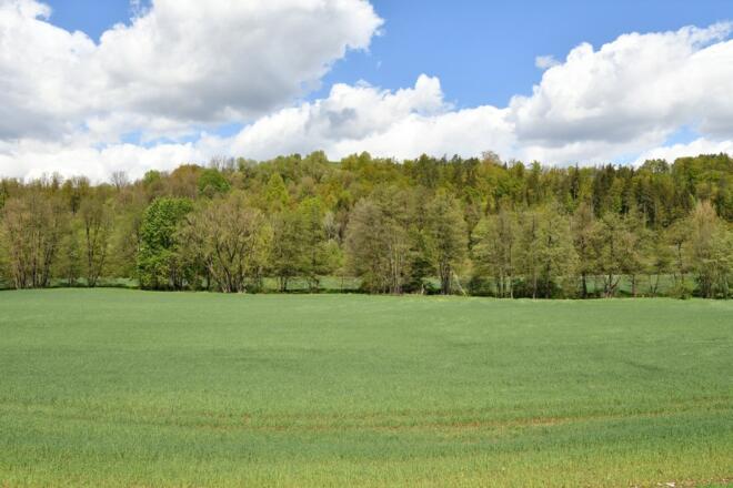 Hartmannshof Högenbachtal