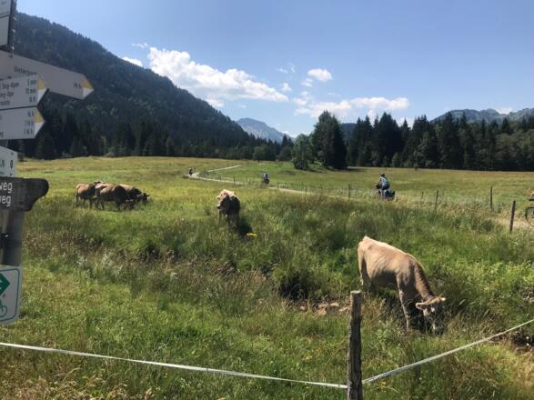 Einfahrt ins Vilstal