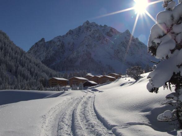 Neuschnee_Wintermorgen