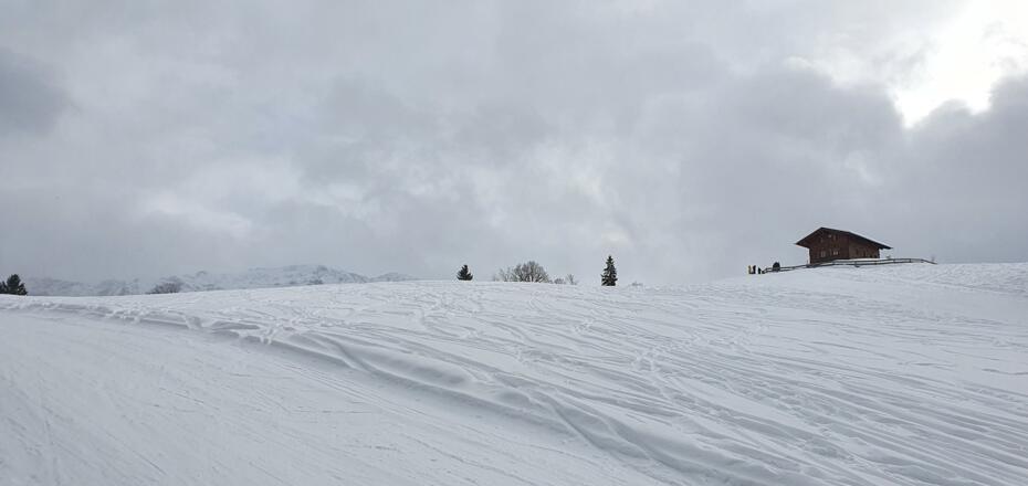 Eckbauer Bergstation