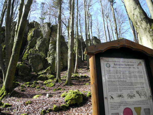Hochberg mit Archäologischem Rundweg