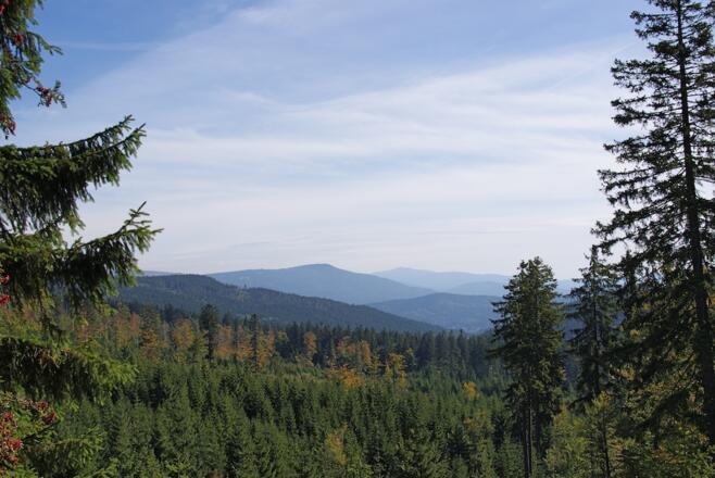 Blick beim Aufstieg zu Gr. Falkenstein und Rachel