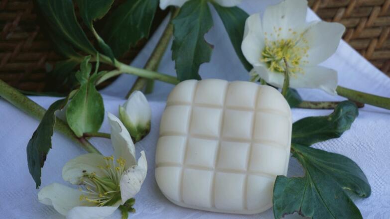 Tinas Seifenparadies