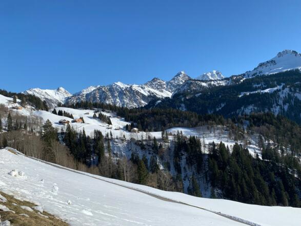 Ausblick genießen auf dem Weg zum Seewaldsee