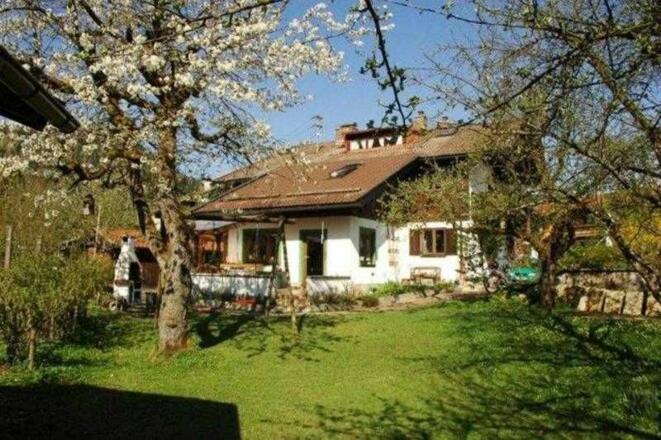 Blick vom Garten auf das Haus