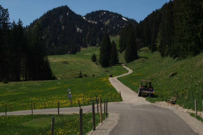 Wegekreuz Obere Wilhelmine - Rappengschwendalpe