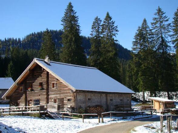 Alpin Hütt'n im Winiter