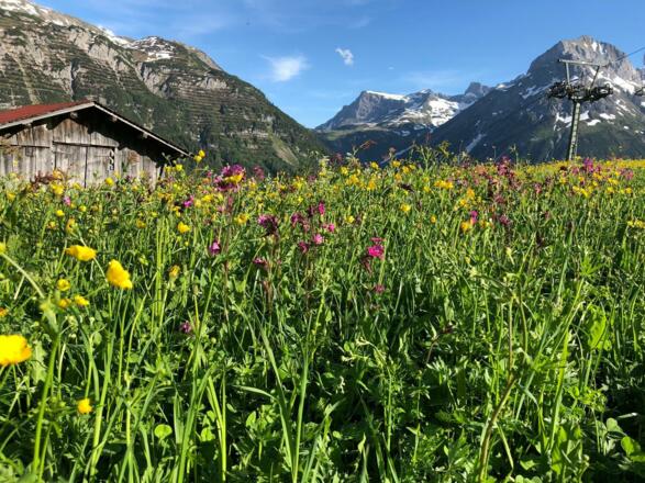 Wandern in Oberlech