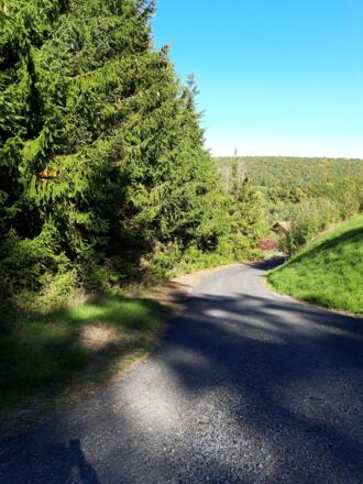 Rhönrundweg 10 Oberelsbach_Saueichenweg_1