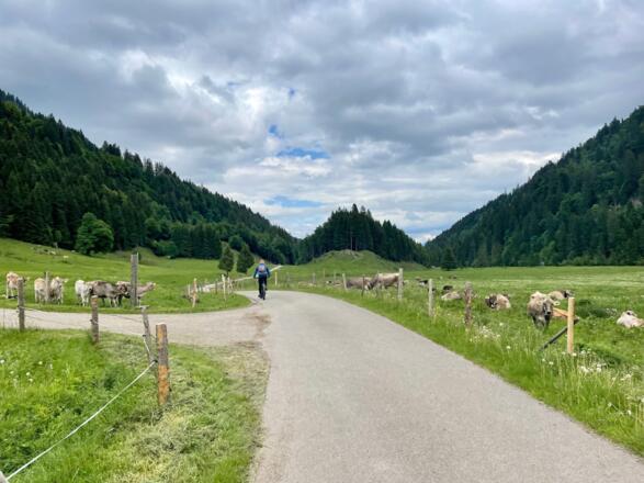 Sommeridylle im Gunzesrieder Tal