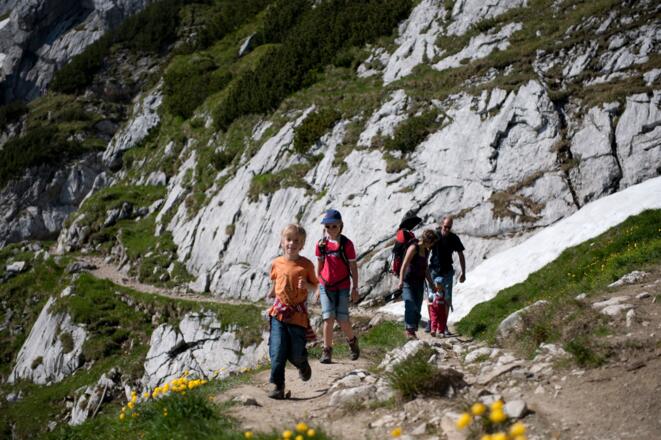 Steig am Gipfelweg