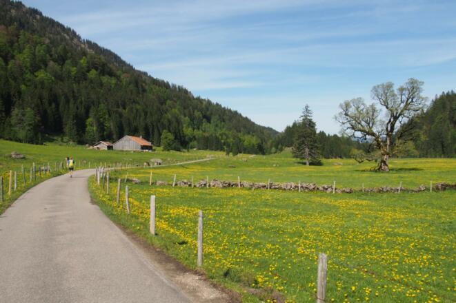 Aubachtal