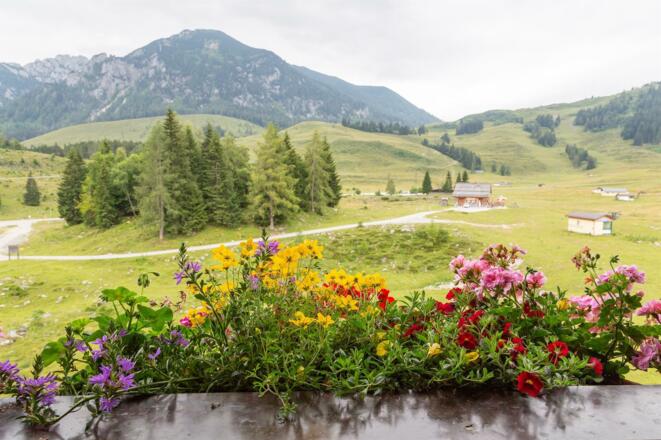 Ausblick Braunedl