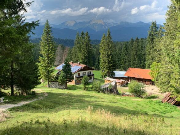 Aschauer Alm
