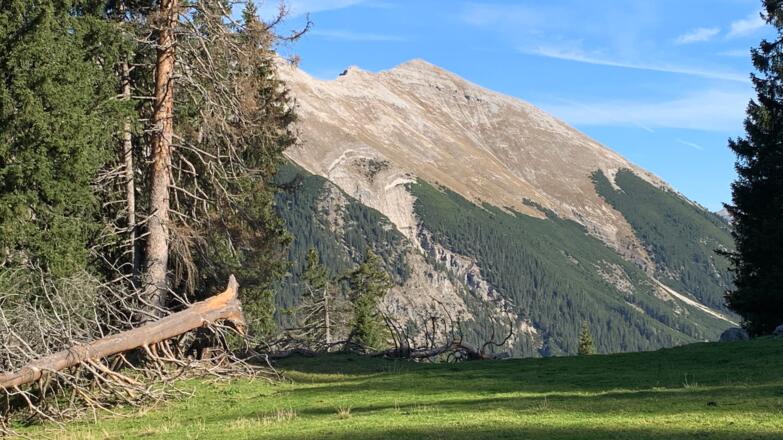Soiernspitze vom Aufstieg zum Wörnergrat