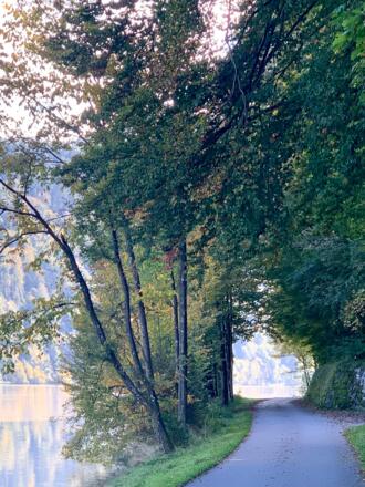 Donauradweg bei Kobling