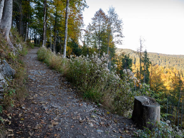 der steile Pfad zur Kreuzbergalm