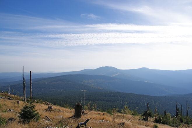 Blick zum Großen Arber beim Abstieg