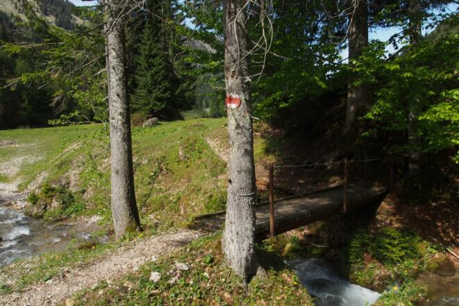 Holzbrücke