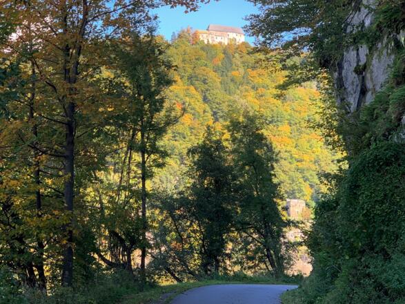 Schloß Neuhaus mit Mautturm an der Donau