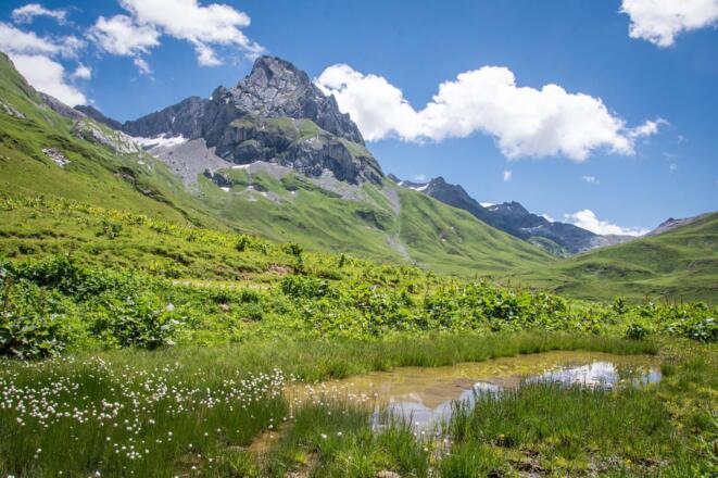 Blick zur Roggalspitze