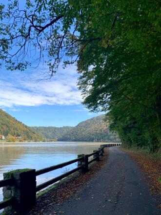 Donauradweg am Fuße der Gschwendt
