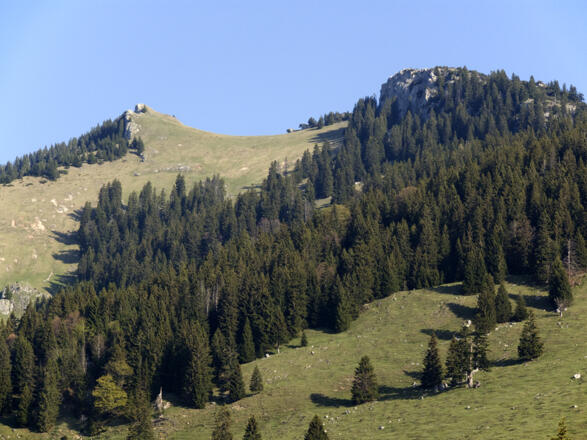 Schon vom Ausgangspunkt der Bergtour zeigen sich die beiden Gipfelziele Wildalpjoch und Käserwand.