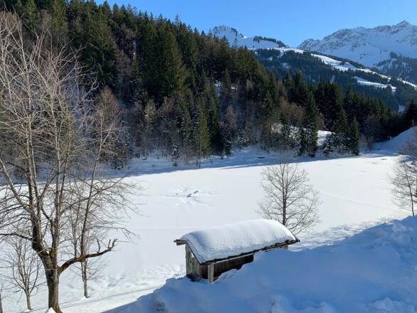 Winterlicher Seewaldsee