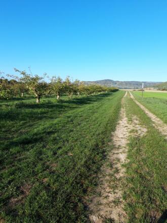 Rhönrundweg 1 Oberelsbach_Fünf Dörfer Tour_5