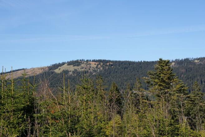 Zwercheck von der Hindenburgkanzel