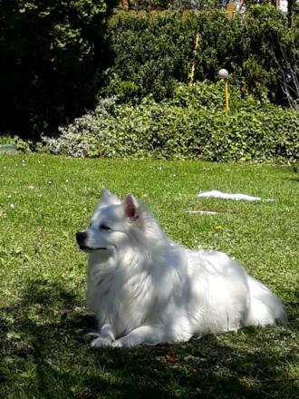 thumbnail_20170430_125244