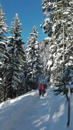 Winterwandern