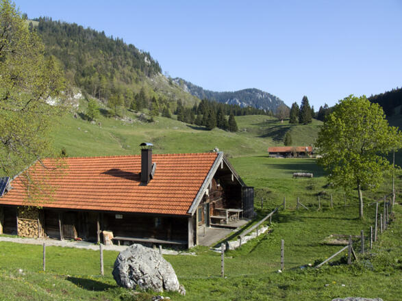 Die Arzmoosalm