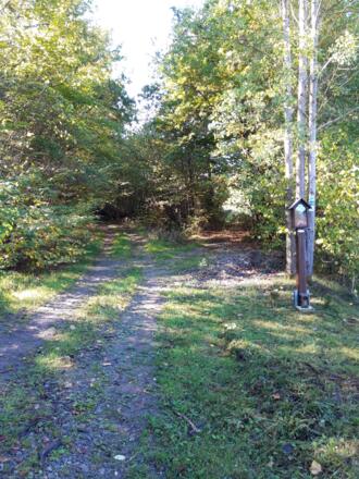 Rhönrundweg 10 Oberelsbach_Saueichenweg_2