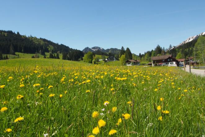 Frühling im Gunzesrieder Tal