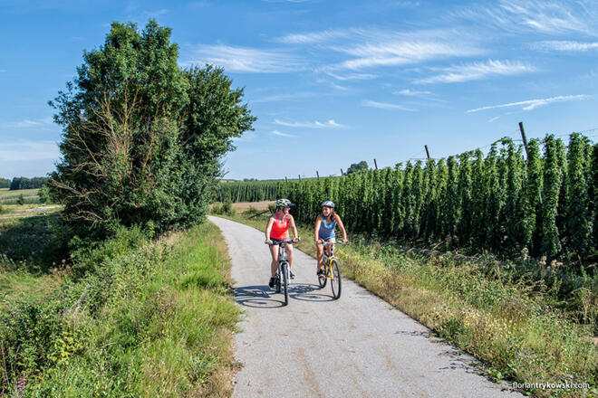 Auf dem Bockerlradweg zwischen Enzelhausen und Osterwaal
