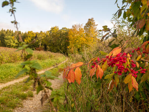 Hübsches Kleinod am Wegesrand