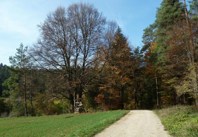 Wegegabelung Poppberg - Eckelsthof