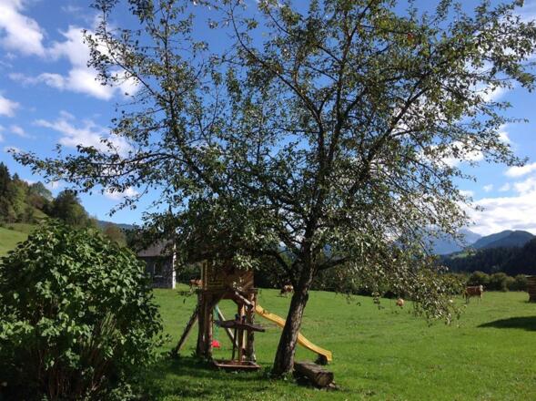Garten - Spielwiese